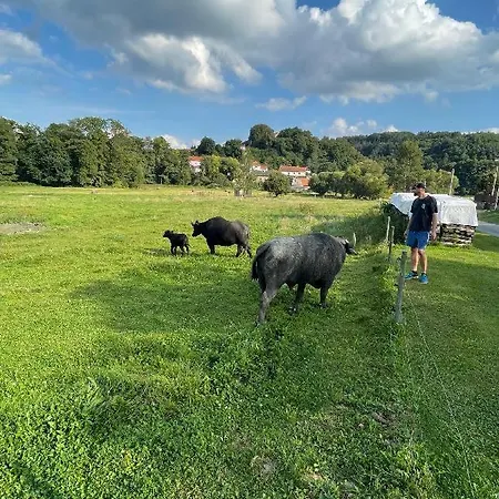 Glamping - Stylova Maringotka V Srdci Ladova Kraje, Pobliz Hlavniho Mesta Prahy Stribrna Skalice