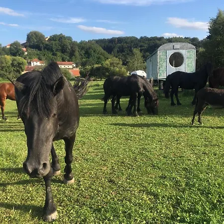 Glamping - Stylova Maringotka V Srdci Ladova Kraje, Pobliz Hlavniho Mesta Prahy *