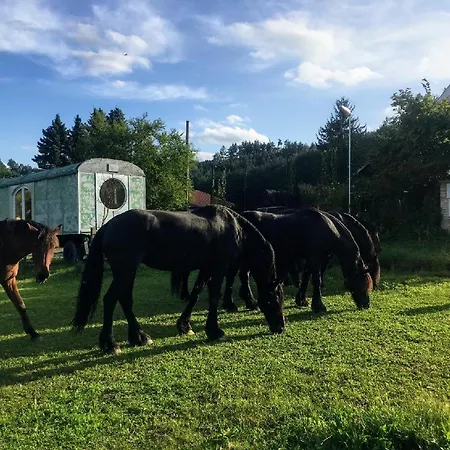Luxusní stan Glamping - Stylová Maringotka V Srdci Ladova Kraje, Poblíž Hlavního Města Prahy