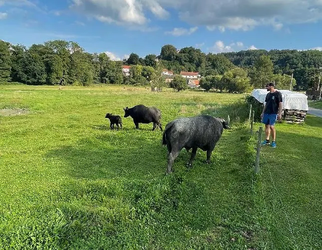 Glamping - Stylová Maringotka V Srdci Ladova Kraje, Poblíž Hlavního Města Prahy Stribrna Skalice