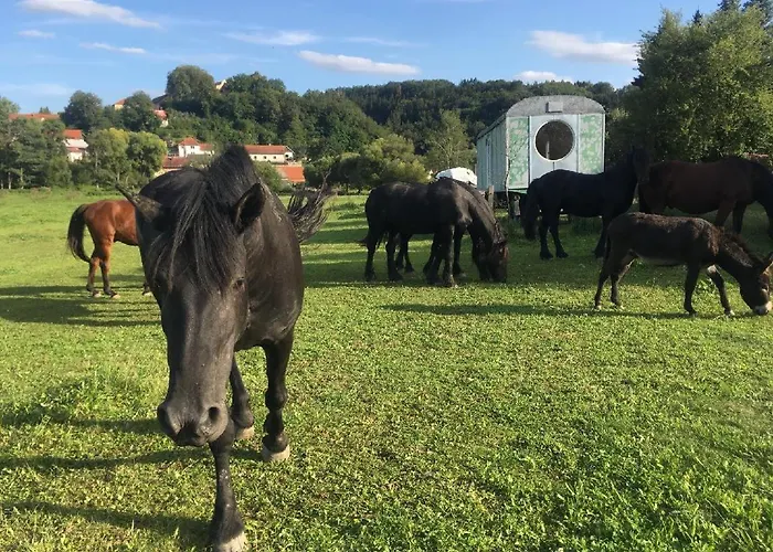 Glamping - Stylova Maringotka V Srdci Ladova Kraje, Pobliz Hlavniho Mesta Prahy *
