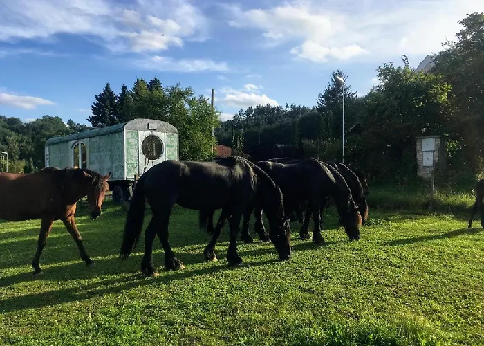 Luxury tent Glamping - Stylova Maringotka V Srdci Ladova Kraje, Pobliz Hlavniho Mesta Prahy