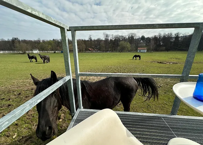 Luxury tent Glamping - Stylova Maringotka V Srdci Ladova Kraje, Pobliz Hlavniho Mesta Prahy Stribrna Skalice